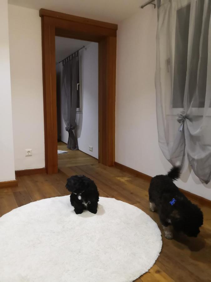 Haus Am Fluss Βίλα Kall Εξωτερικό φωτογραφία